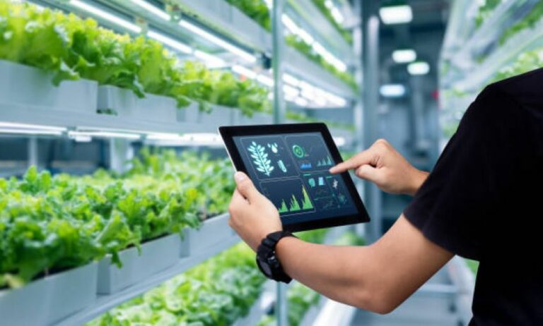 Internet of Things (IoT)